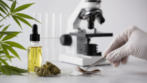 Ist CBD in Haaren nachweisbar?