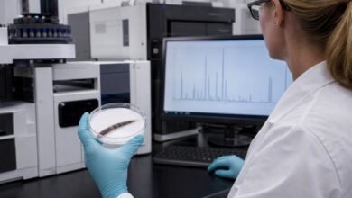 Auswertung einer Haaranalyse im toxikologischen Labor [Bildinhalt mit KI erstellt]